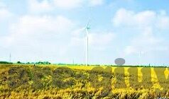 118直播足球比分-118直播足球比分，球迷的实时信息港湾