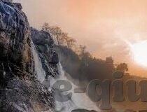 世界杯波兰队的速度-波兰队,速度在绿茵场上的艺术